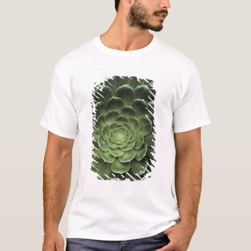 Center of Cactus T_Shirt