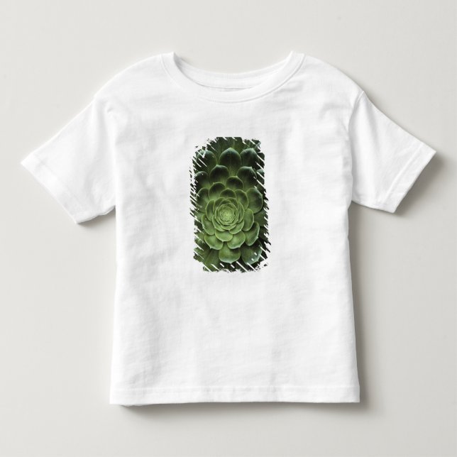 Center of Cactus Toddler T-shirt (Front)