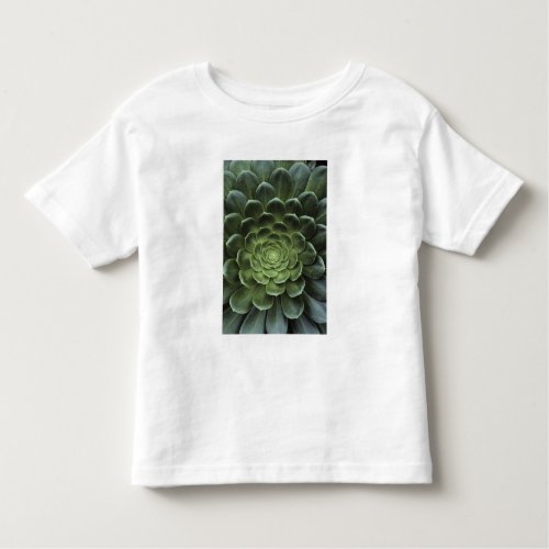 Center of Cactus Toddler T_shirt