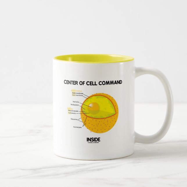 Center Of Cell Command Inside (Nucleus) Two-Tone Coffee Mug (Right)