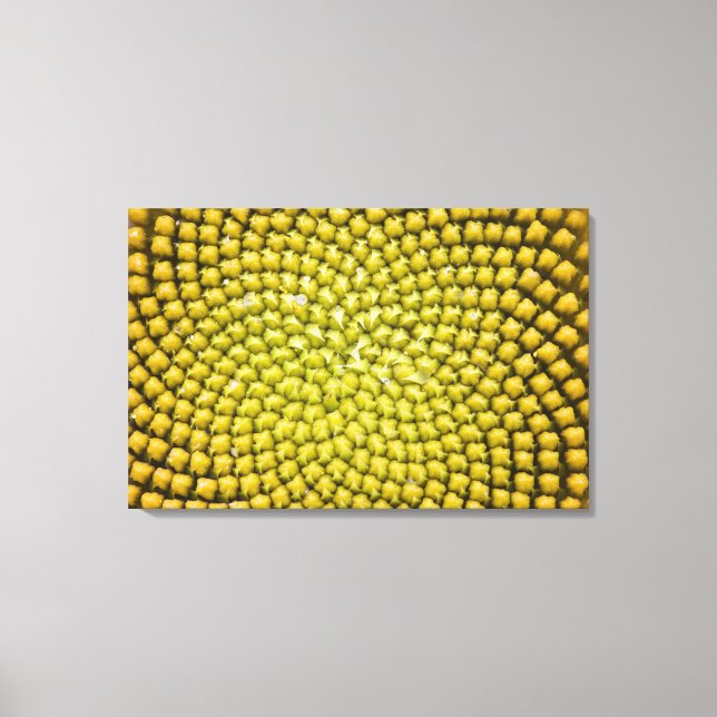 Center of giant Sunflower (Helianthus annuus) Canvas Print (Front)