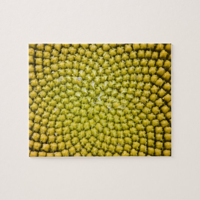 Center of giant Sunflower (Helianthus annuus) Jigsaw Puzzle (Horizontal)