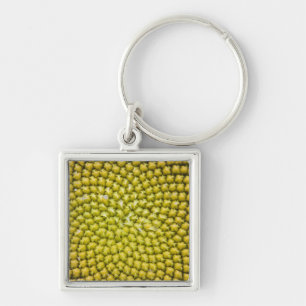 Center of giant Sunflower (Helianthus annuus) Keychain