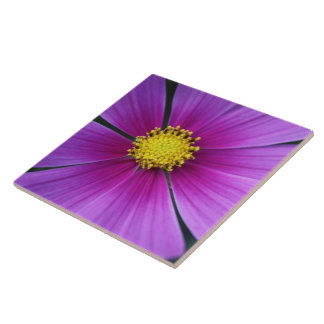 Center of the Cosmos Tile