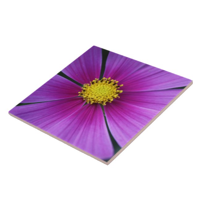 Center of the Cosmos Tile (Side)