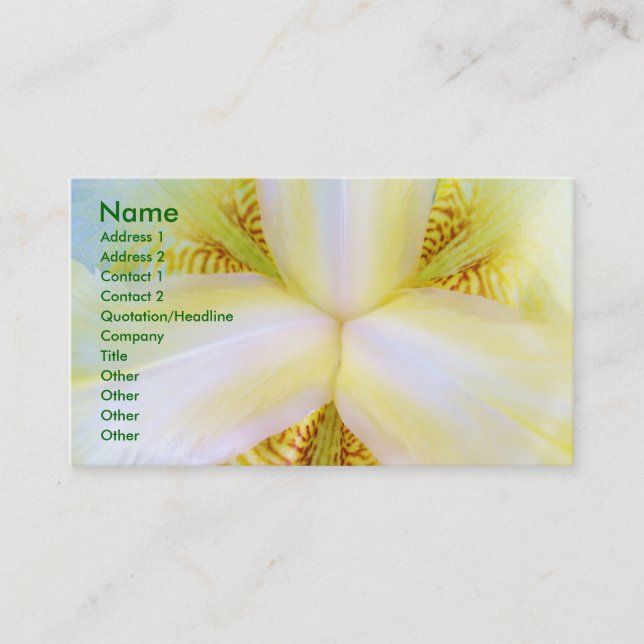 Center of the Universe Business Card (Front)