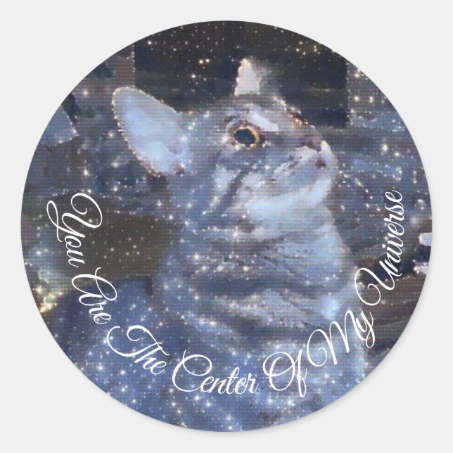 Center of Universe Sparkly Cat Digital Picture Classic Round Sticker (Front)