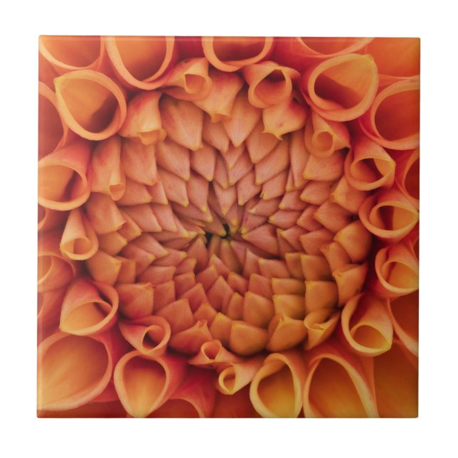 Center Orange Dahlia Flower Ceramic Tile (Front)