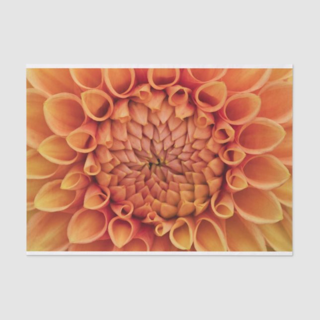 Center Orange Dahlia Flower Tissue Paper (Front)