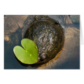 Centered (Front Horizontal)