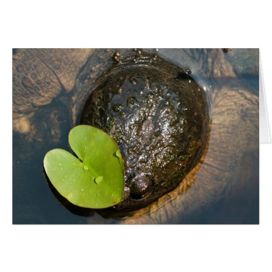 Centered (Front Horizontal)