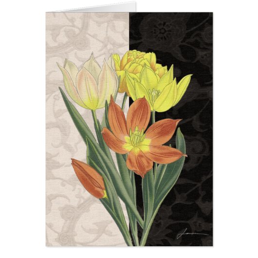 Centerpiece II Cards (Front)