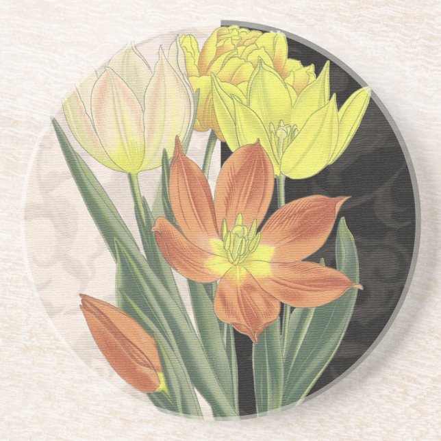 Centerpiece II Coaster (Front)