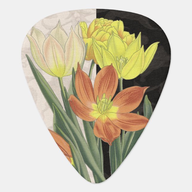 Centerpiece II Guitar Pick (Front)