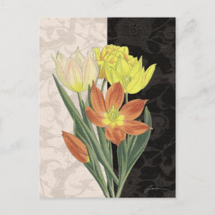 Centerpiece II Postcard