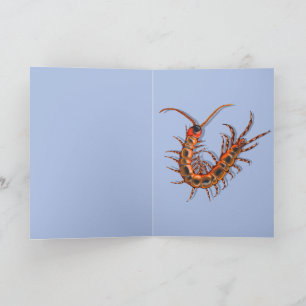 Centipede card
