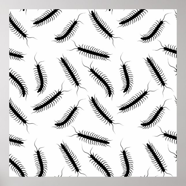 Centipedes Poster (Front)