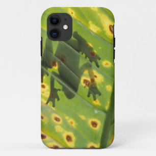 CENTRAL AMERICA, Costa Rica, Back-lit frog on iPhone 11 Case