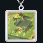 CENTRAL AMERICA, Costa Rica, Back-lit frog on Silver Plated Necklace<br><div class="desc">COPYRIGHT Art Wolfe / SuperStock.com | SA22 AWO0002.jpg | CENTRAL AMERICA,  Costa Rica,  Back-lit frog on leaf</div>