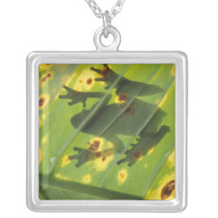 CENTRAL AMERICA, Costa Rica, Back-lit frog on Silver Plated Necklace