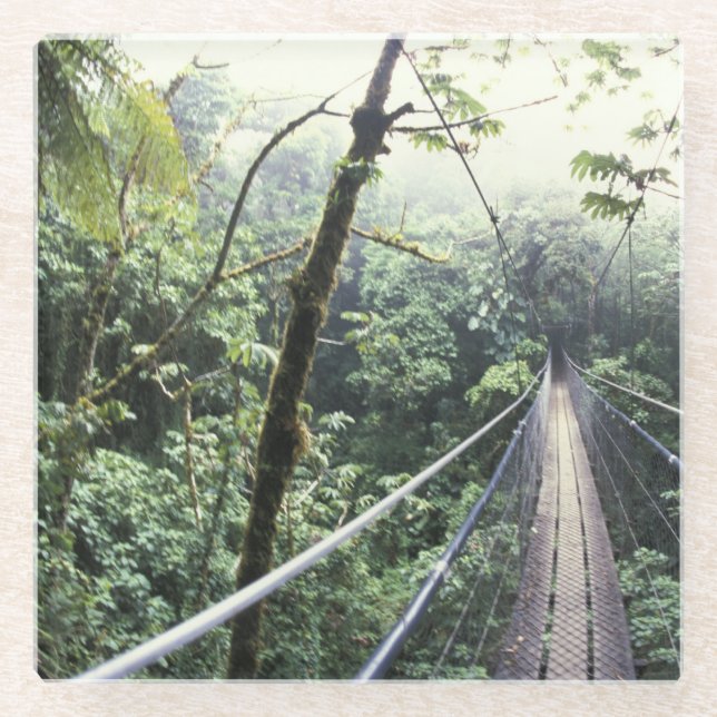 Central America, Costa Rica, Monteverde Cloud Glass Coaster (Front)