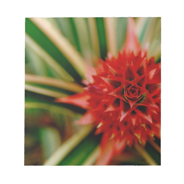 Central America, Costa Rica, San Vito, Wilson Notepad (Front)