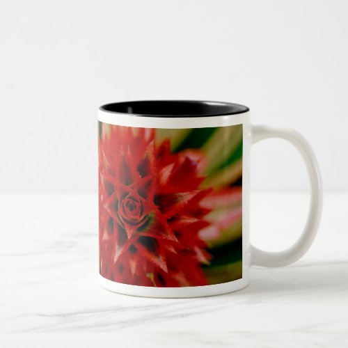 Central America Costa Rica San Vito Wilson Two_Tone Coffee Mug