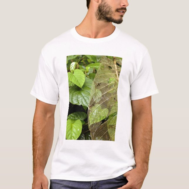 Central America, Costa Rica, Sarapiqui, Braulio T-Shirt (Front)