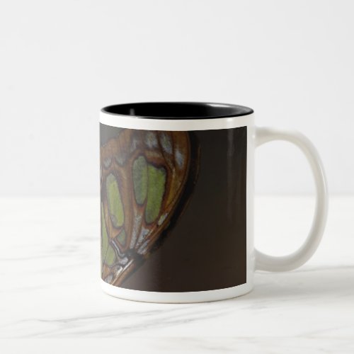 Central America Costa Rica Selva Verde 2 Two_Tone Coffee Mug