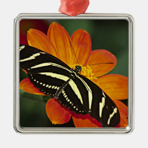 Central America, Costa Rica, Selva Verde Metal Ornament