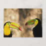 Central America, Honduras. Keel-billed Toucan 2 Postcard