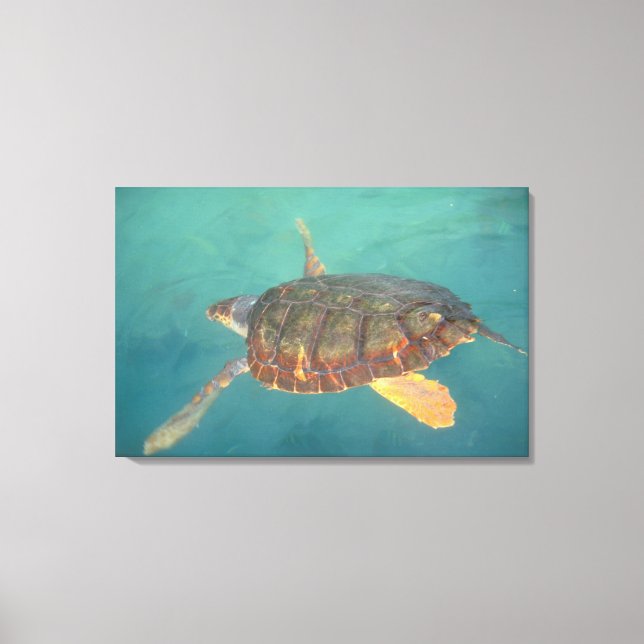 Central America, Panama, Bocas Del Torro Canvas Print (Front)