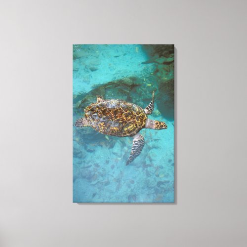 Central America Panama Bocas Del Torro Island Canvas Print