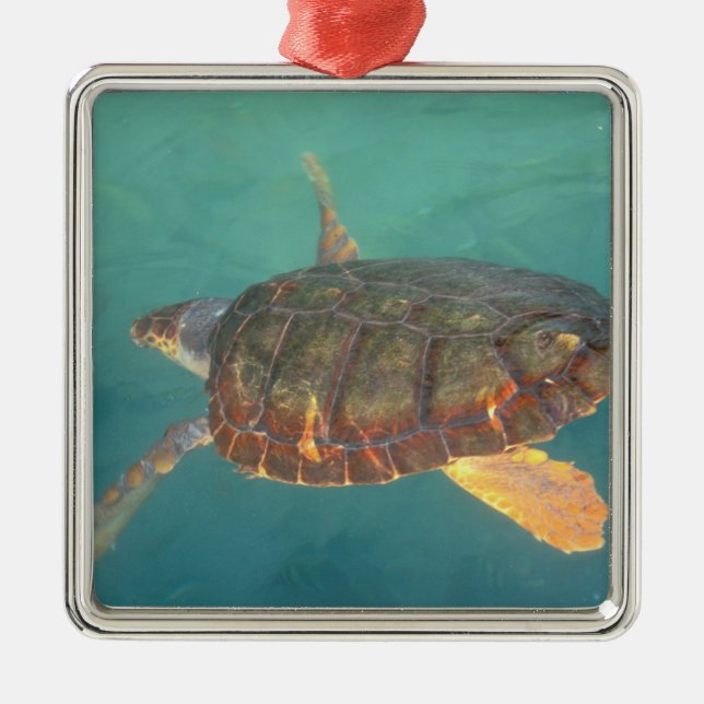 Central America, Panama, Bocas Del Torro Metal Ornament (Front)