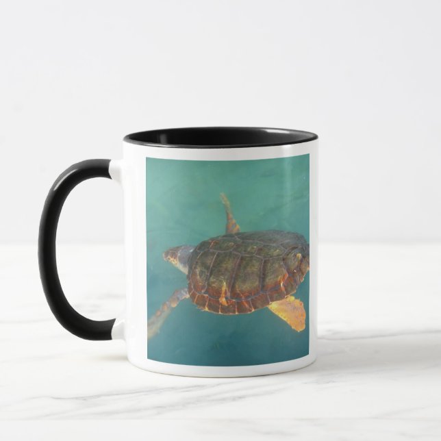 Central America, Panama, Bocas Del Torro Mug (Left)