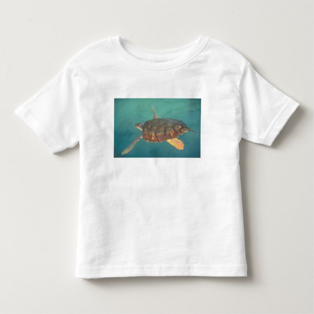 Central America, Panama, Bocas Del Torro Toddler T-shirt (Front)