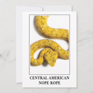 Central American Nope Rope - Viper Snake Danger Invitation
