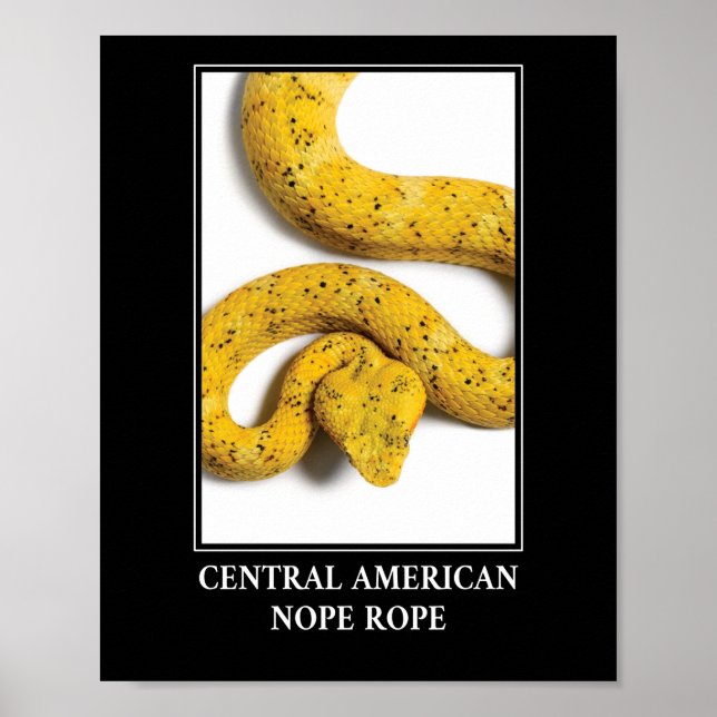 Central American Nope Rope - Viper Snake Danger Poster (Front)
