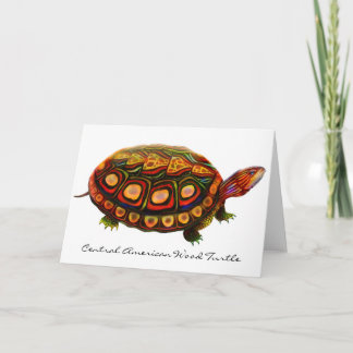 Central American Wood Turtle Greeting Card