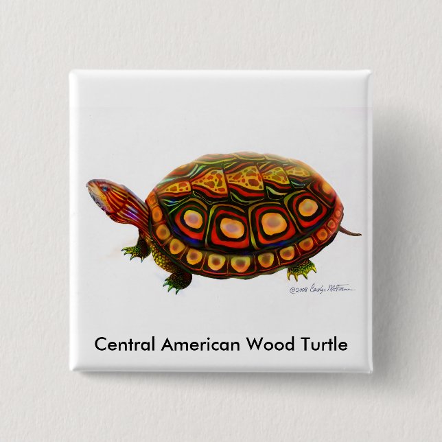 Central American Wood Turtle Pin (Front)