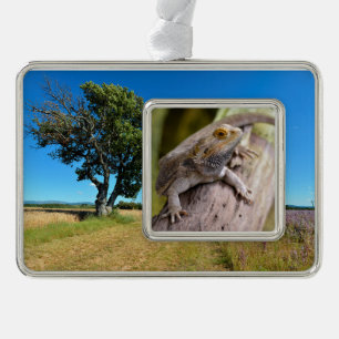 Central bearded dragon on branch postcard coffee m christmas ornament