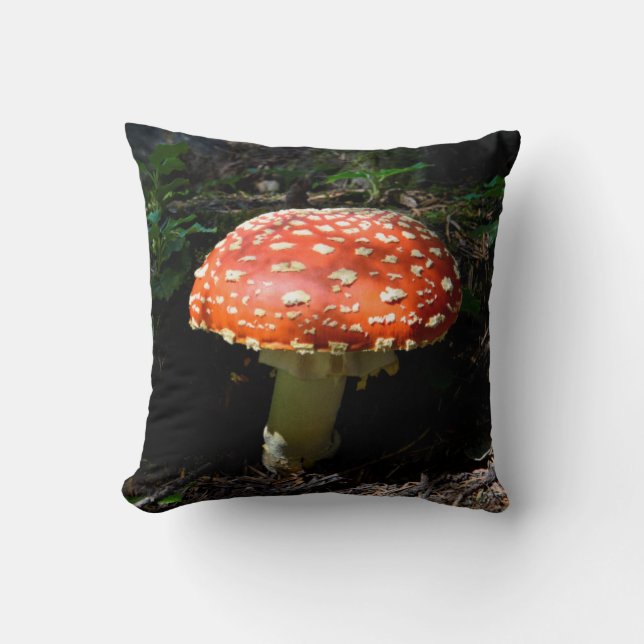 Central Cascades, Washington State Throw Pillow (Front)