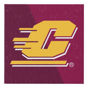 Central Michigan Color Block Distressed Faux Canvas Print
