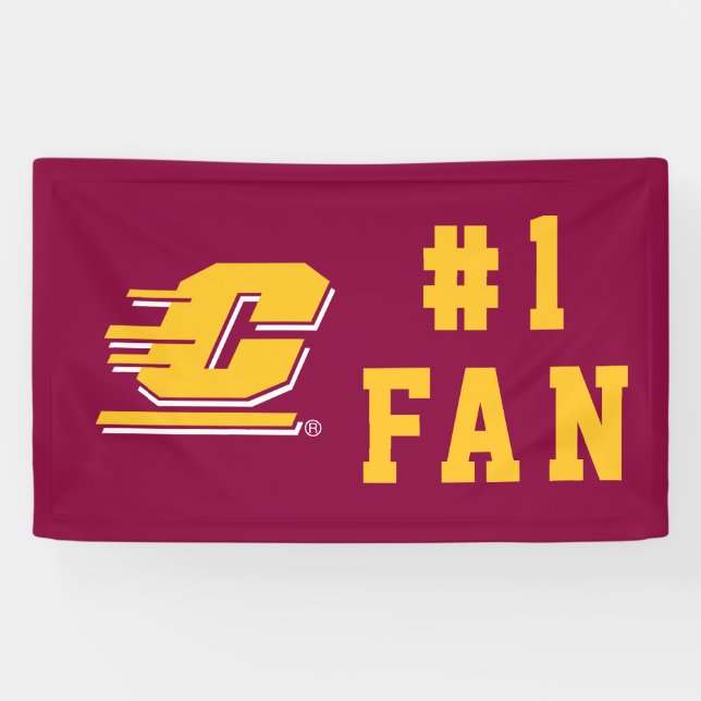 Central Michigan University Banner (Horizontal)