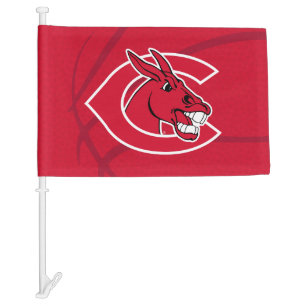 Central Missouri Basketball Car Flag