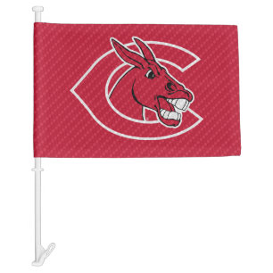 Central Missouri Carbon Fiber Car Flag