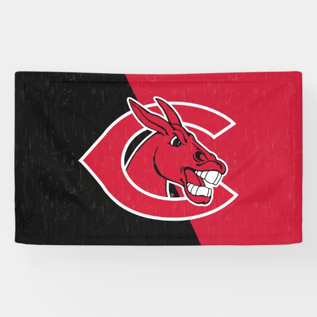 Central Missouri Color Block Distressed Banner (Horizontal)