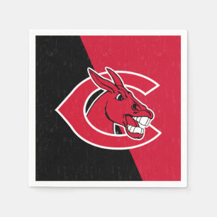 Central Missouri Color Block Distressed Napkins