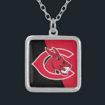 Central Missouri Color Block Distressed Silver Plated Necklace<br><div class="desc">Check out these University of Central Missouri designs! Show off your University of Central Missouri Pride with these new University products. These make the perfect gifts for the University of Central Missouri student, alumni, family, friend or fan in your life. All of these Zazzle products are customizable with your name,...</div>