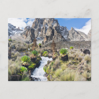 Central Mount Kenya National Park Postcard